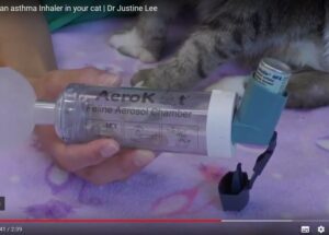 Utiliser l’aerokat pour le traitement des pathologies respiratoires