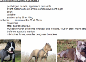 Miniature du cours