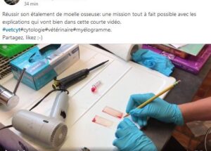 Miniature du cours