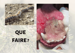 Miniature du cours