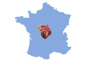 Miniature du cours