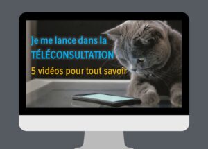 Miniature du cours