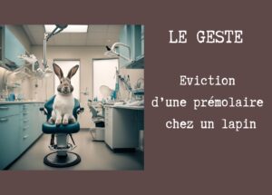 Miniature du cours